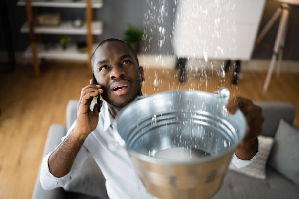 Best Professional water damage repair  in Brushy Creek, TX