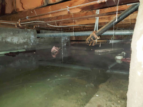 Best Water damage restoration services  in Brushy Creek, TX