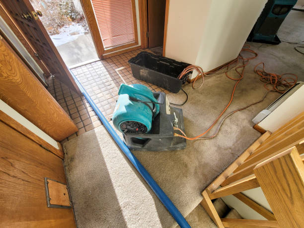 Best Flooded house restoration  in Brushy Creek, TX