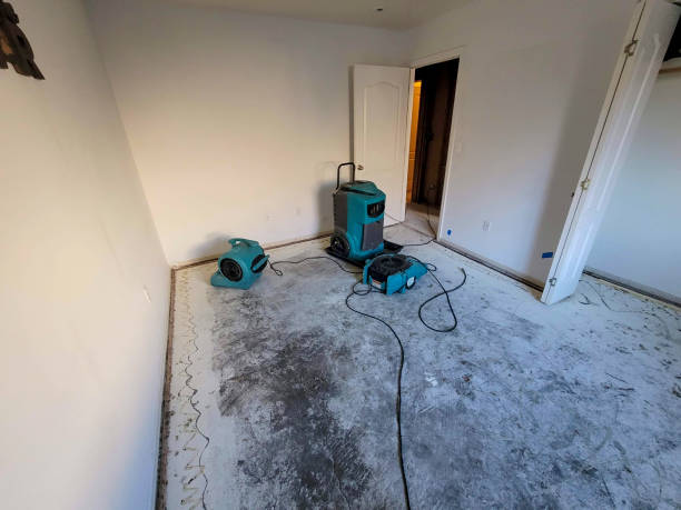 Brushy Creek, TX Water damage restoration Company