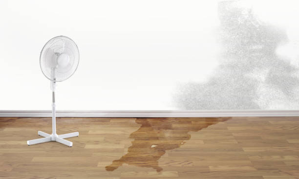 Best Water damage restoration cost  in Brushy Creek, TX