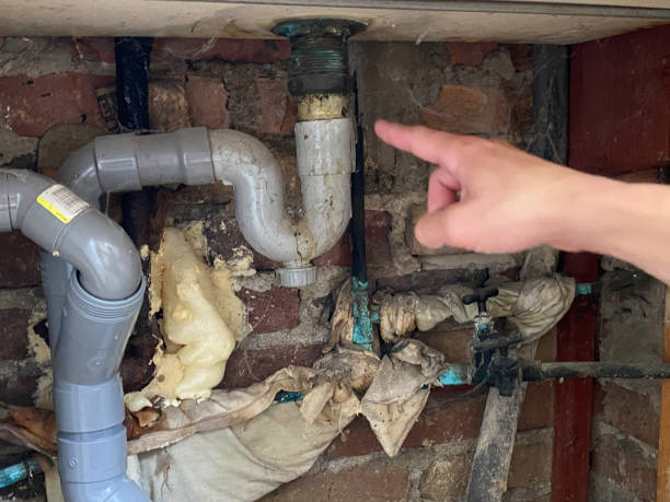 Best Water damage contractors near me  in Brushy Creek, TX